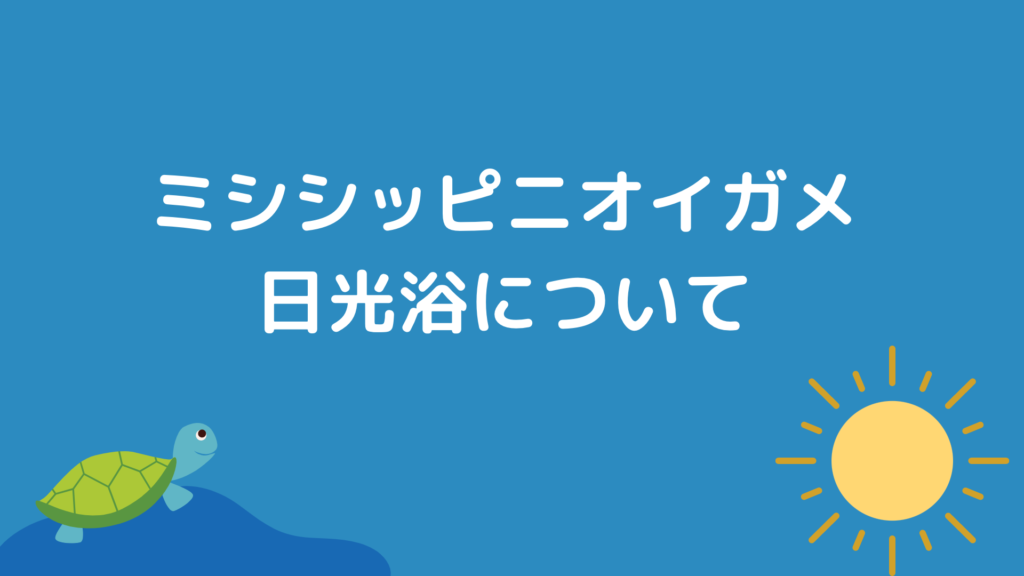 ミシシッピニオイガメに日光浴は必要？実体験を含めて詳しく解説します！｜Aquarium Lab