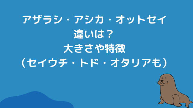 アザラシ・アシカ・オットセイ・セイウチ・トド・オタリア