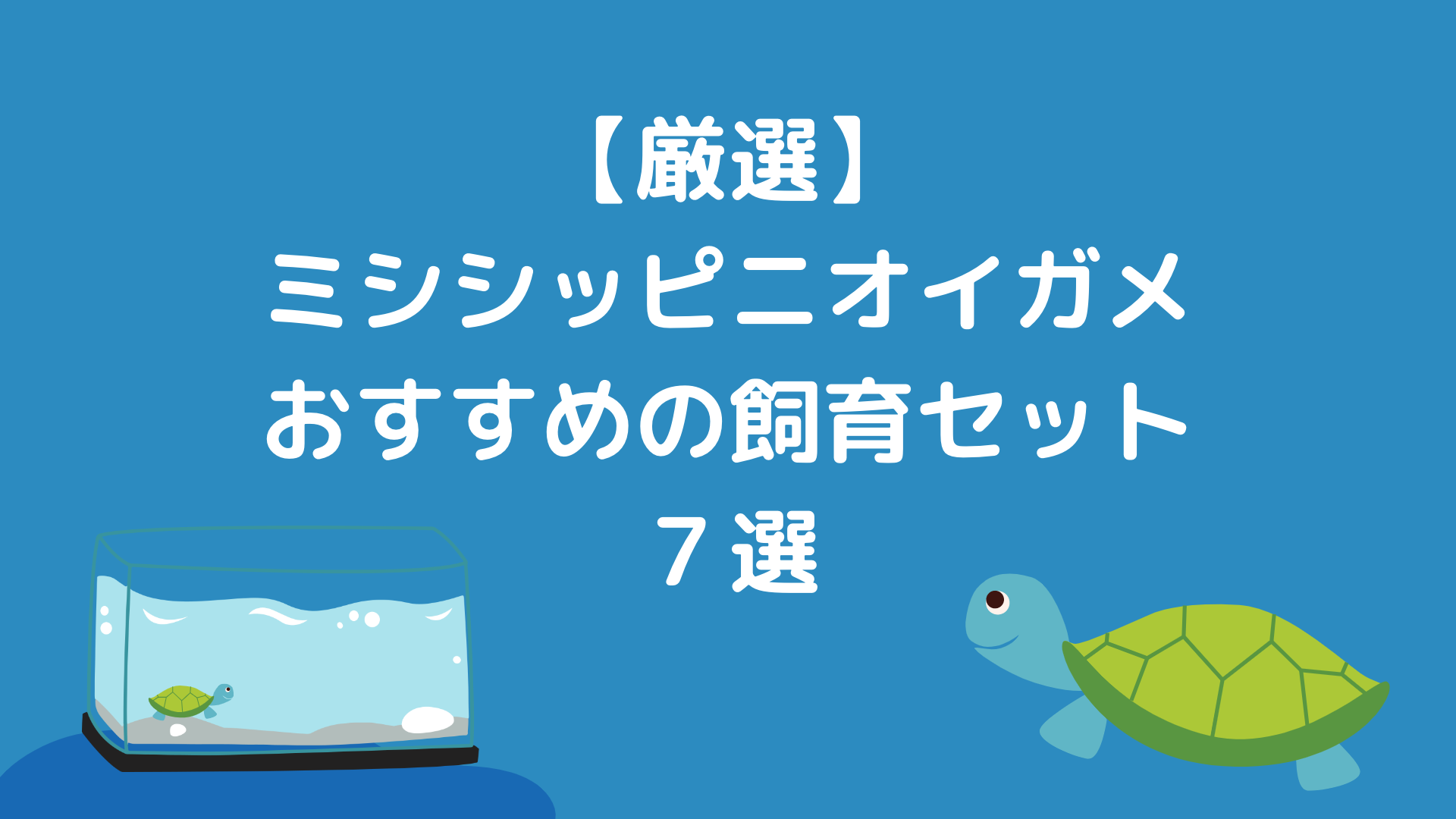 厳選】ミシシッピニオイガメ｜おすすめの飼育セット７選を紹介します！｜Aquarium Lab